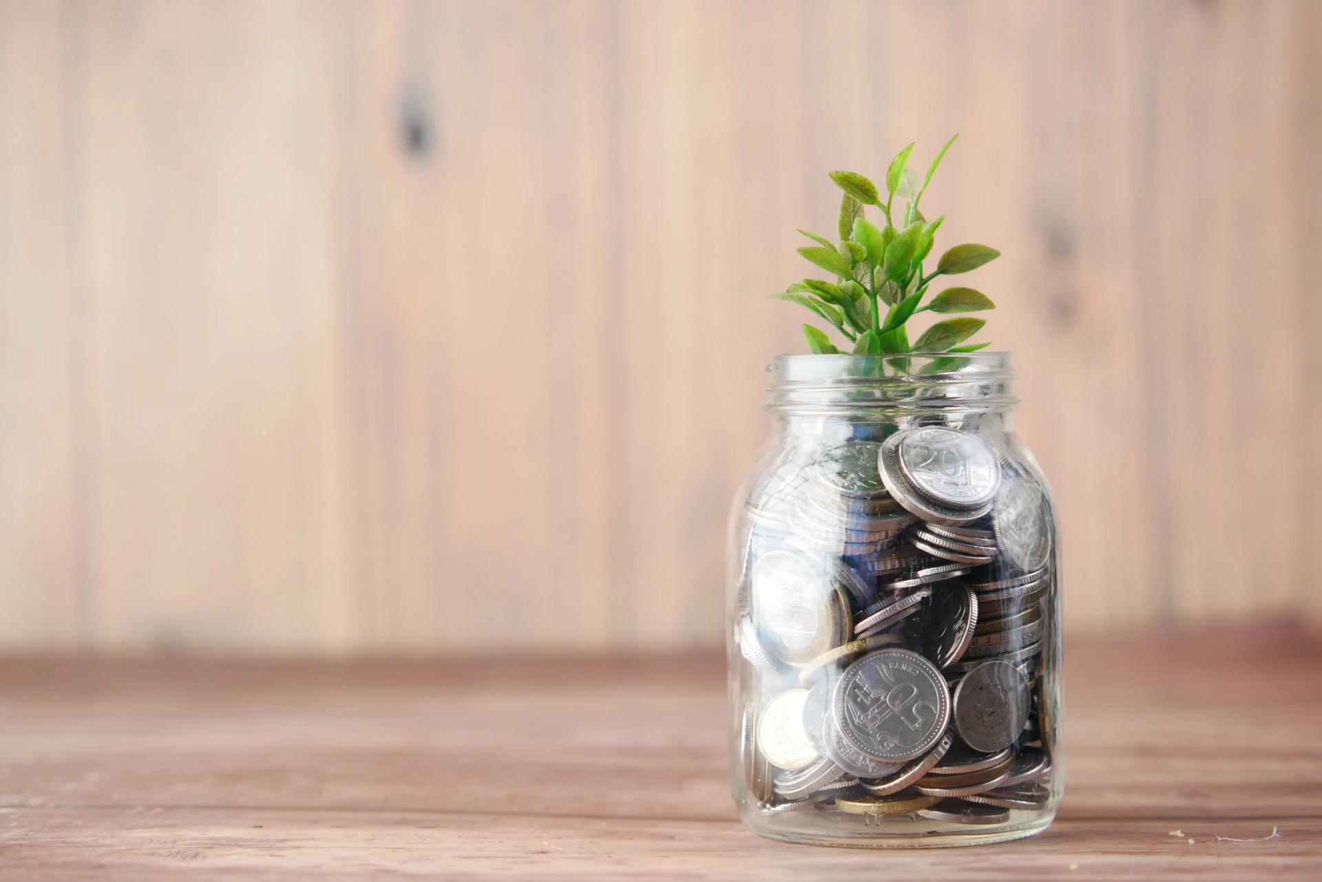A jar of coins with a green pplant growing out of it
